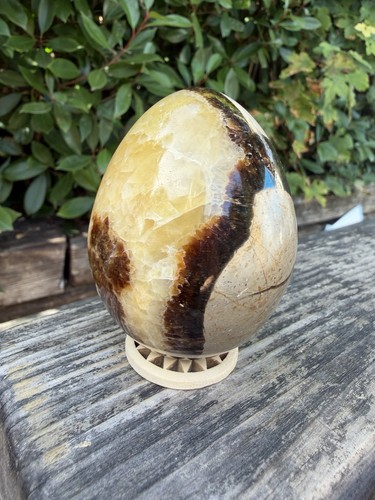 Septarian egg - septarian,