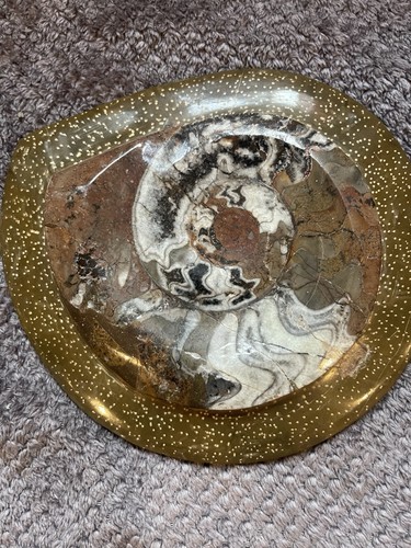 Polished ammonite fossil - polished,