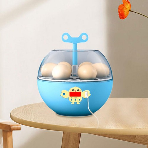 Eggs incubator visible - 6,