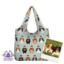 CAVALIER KING CHARLES SPANIEL