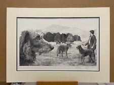 Mike Sibley - Scottish