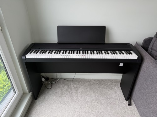 Korg digital piano - korg,