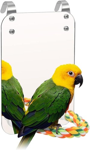 Bird mirror with rope perch - with,