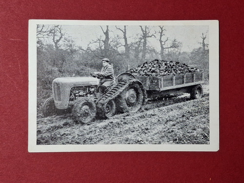 Standardise with ferguson - 'standardise,