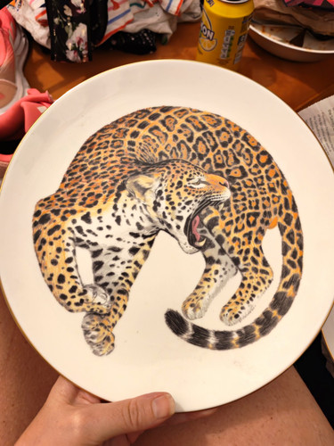 Vintage wedgwood bone - vintage, china