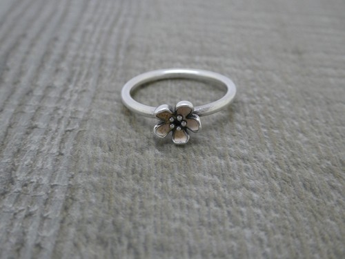 Genuine pandora sterling - genuine,