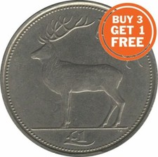 IRELAND ONE POUND 1 PUNT IRISH