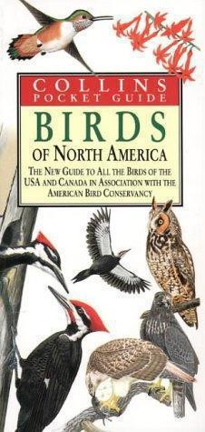 Birds north america - north,