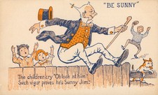 Sunny Jim Force Food Cereal