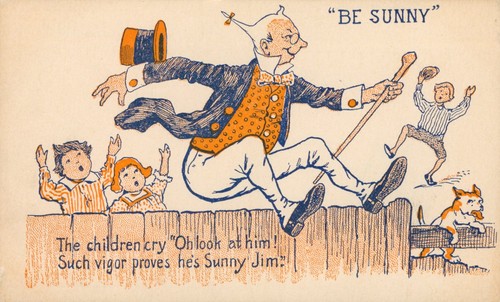 Sunny jim force food cereal - jim,