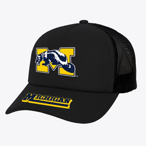 Michigan wolverines ncaa - michigan,