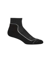 Icebreaker Merino Hike+ Light
