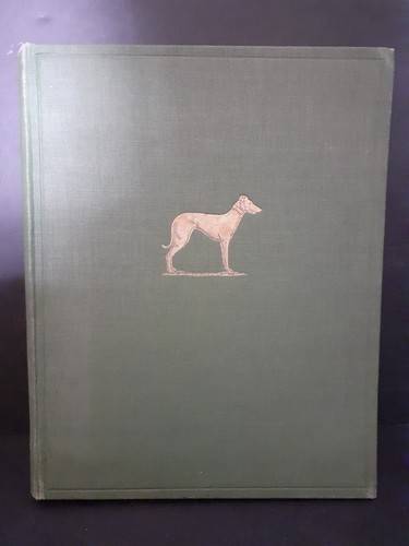 The modern greyhound - the,