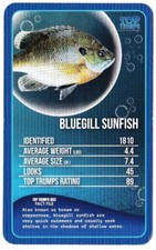 BLUEGILL SUNFISH, FRESHWATER