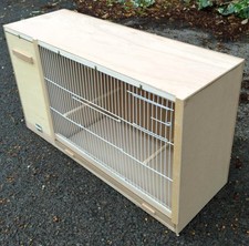 Cockatiel Parakeet Lovebird