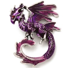 Dragon brooch with - dragon,
