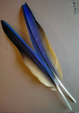 Fly tying / Native crafts /