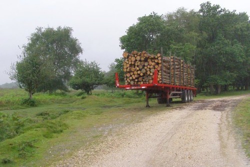 Photo 6x4 timber - 6x4, near
