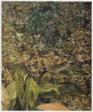 Two Plants classic Lucian Freud botanical print in 11 x 14 inch mount BEAUTIFUL