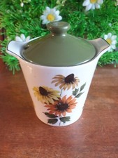 Vintage c1960s/70s Midwinter