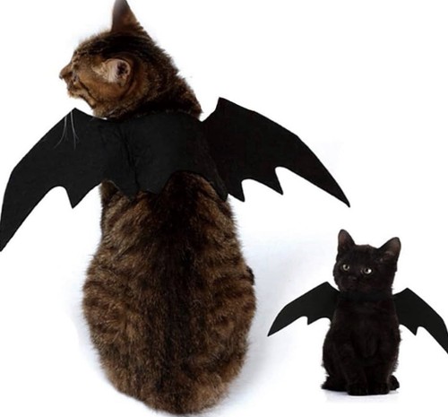 Pet halloween bat wings - pet,