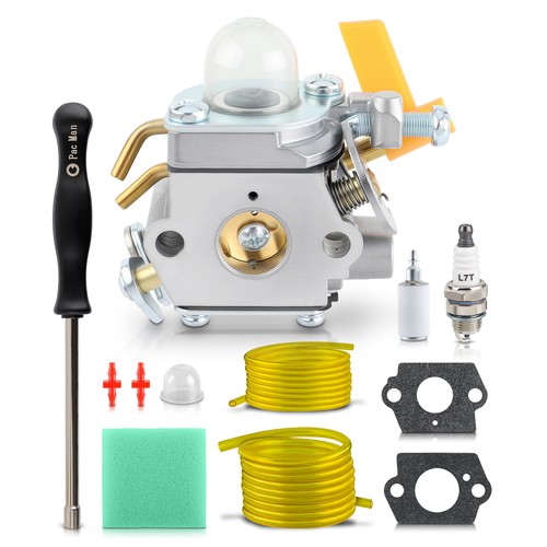 Oem ruixing carburetor - oem, for
