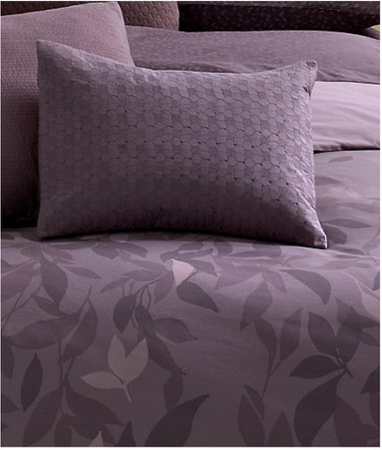 Calvin klein embroidered - calvin,