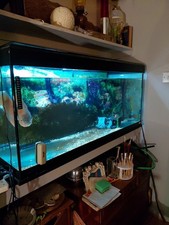 Large Glass Fish Tank Aquarium with LED Heater and Filter