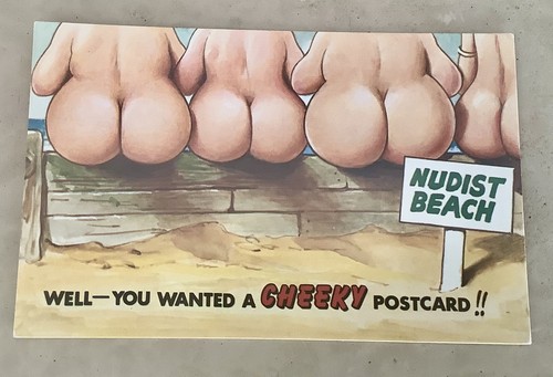 Vintage saucy seaside comic - vintage,
