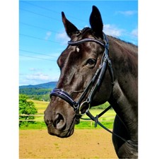 FSS DROP BRIDLE Crystal Bling