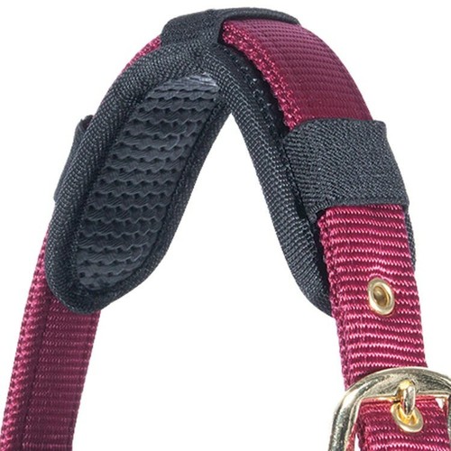 Magnetic halter bridle - crown,