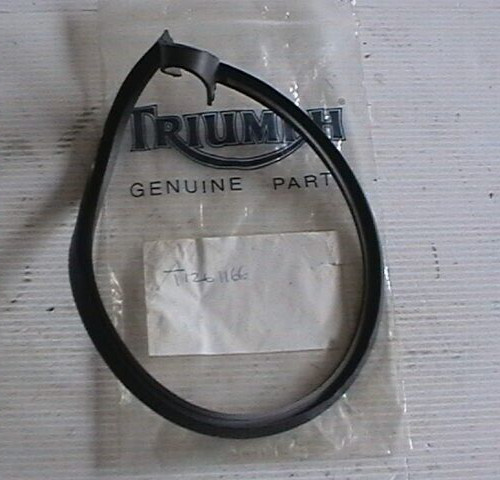T1261166 triumph engine cover - triumph,