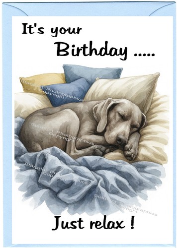 Weimaraner dog - dog, 6")