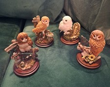 4 Country Artists Owls