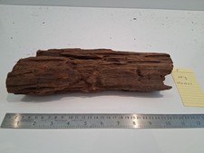 Driftwood bogwood fish - driftwood,