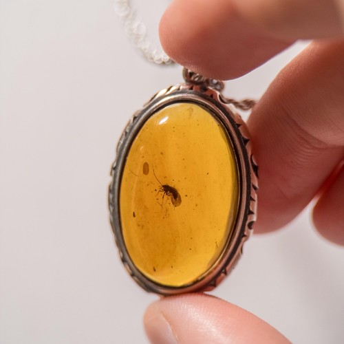 Neuroptera amber pendant - neuroptera,