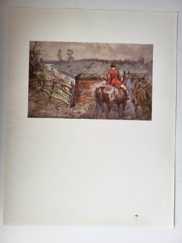 Antique leicestershire colour - leicestershire,
