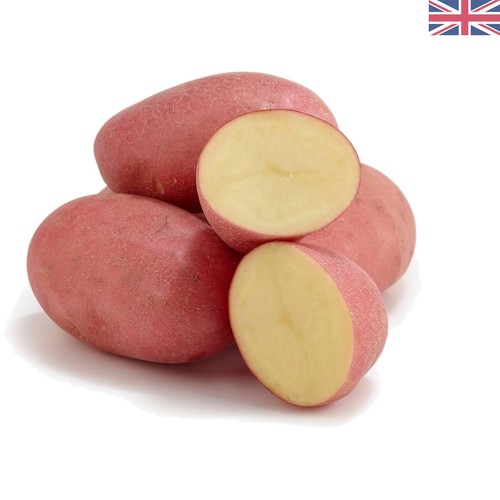 Egyptian red potatoes - (1.5, lb)