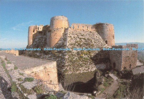 D227363 syria the cavaliers - syria,