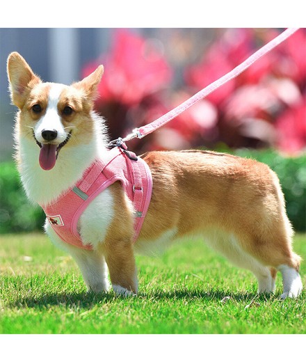 Non pull dog harness vest - dog, soft