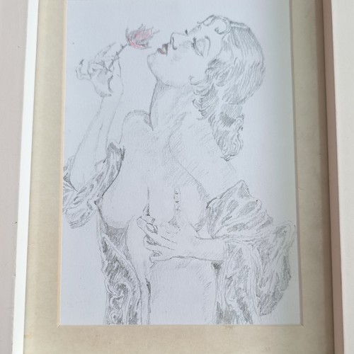 Framed pencil drawing paper - drawing, on