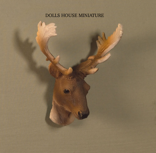 Trophy stag head - trophy, stag's