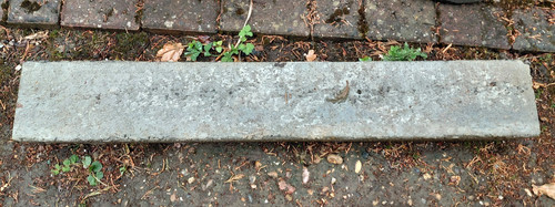 Prestressed concrete lintel - prestressed,