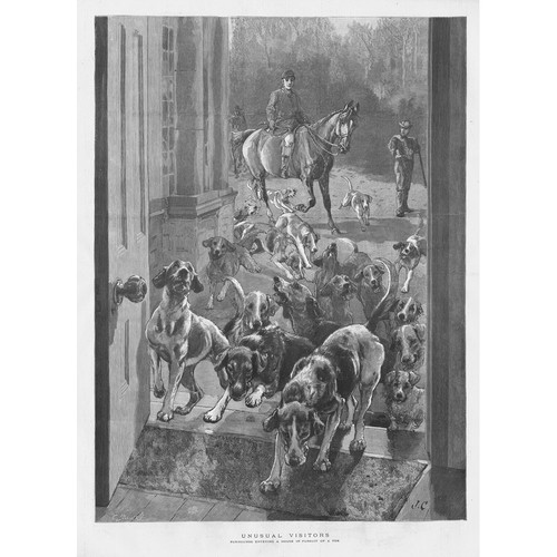 Fox hounds entering house - entering, in