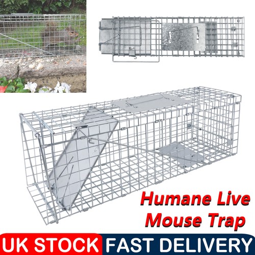 Metal mouse trap humane - humane, multi