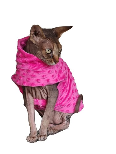 Kitten comfy soft - kitten,