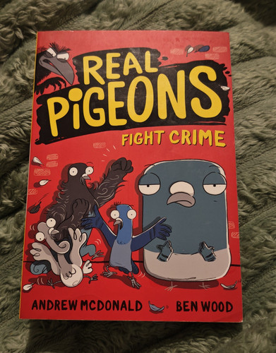 Real pigeons fight - fight, crime