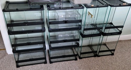 Glass reptile enclosure - 10,