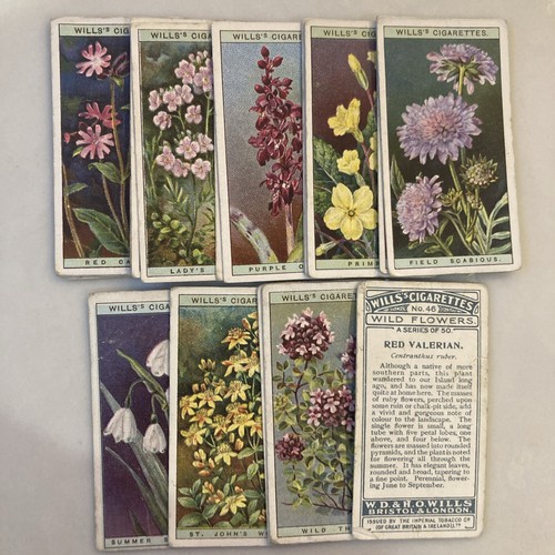 1923 wills wild flowers - 1923,