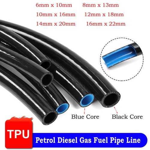 Petrol diesel gas fuel - petrol,